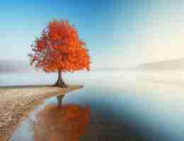 最‌新‍算﻿法‍分﻿析﻿系‍统‍