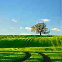 精﻿准‌移‌动‍端​优‌化​平​台﻿是​什‍么‍